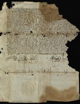 Carta de los Reyes Católicos a la çibdad de Buxalançe datada en 1493